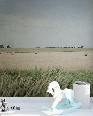Neutral Country II