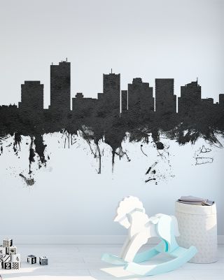 Phoenix Skyline Black & White