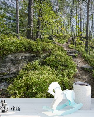 Saxon Trails with Historical Charm