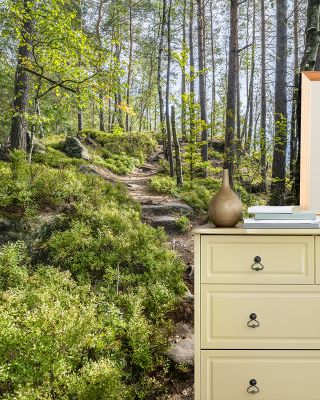 Saxon Trails with Historical Charm