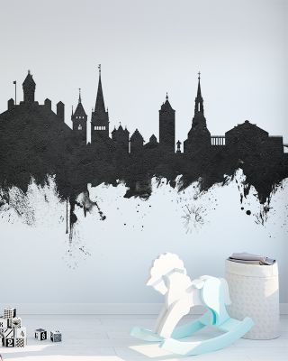 Schaffhausen Switzerland Skyline in Classic Black & White