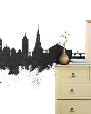 Schaffhausen Switzerland Skyline in Classic Black & White
