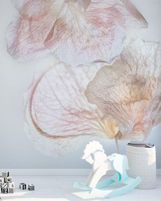 Soft Embrace Gentle Floral Wall Art