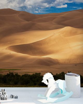 Sunlit Dune Radiant Desert Wall Art