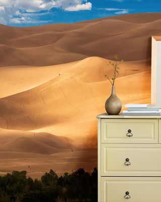 Sunlit Dune Radiant Desert Wall Art