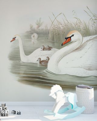 Swan Lake Elegant Wall Art