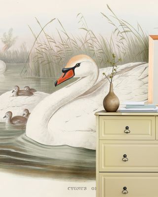 Swan Lake Elegant Wall Art