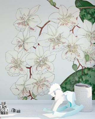 Tanigami Moth Orchid Elegant Floral Wall Art