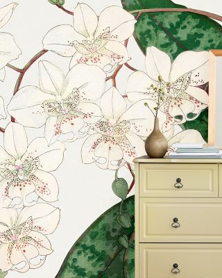 Tanigami Moth Orchid Elegant Floral Wall Art