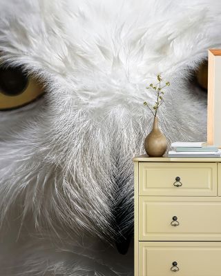 The Owl Star Enchanting Kids Wall Art