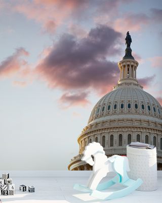 US Capitol Historic Landmark Wall Art
