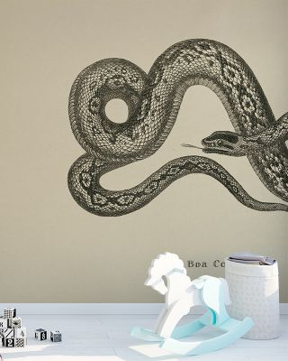 Vintage Boa Constrictor Exotic Wall Art
