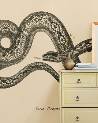 Vintage Boa Constrictor Exotic Wall Art