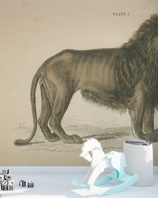 Vintage Lion Majestic Wall Art
