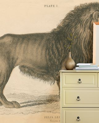 Vintage Lion Majestic Wall Art
