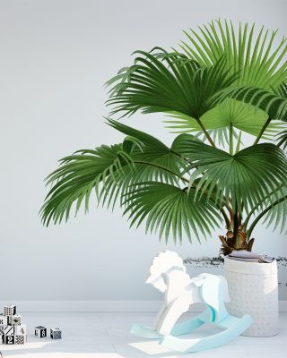 Vintage Palm Tree IV Tropical Wall Art