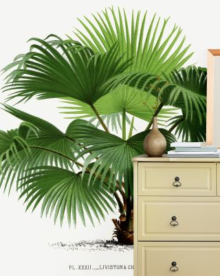 Vintage Palm Tree IV Tropical Wall Art