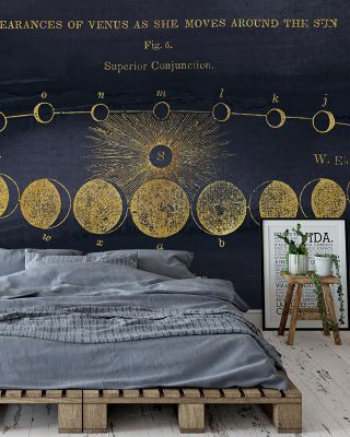 Geography of the Heavens II Blue Gold Wallpaper