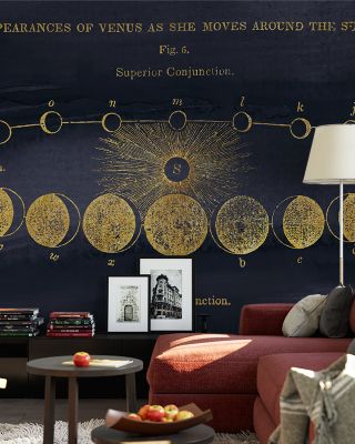 Geography of the Heavens II Blue Gold Wallpaper