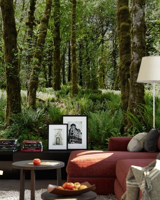 Quinault Rainforest Scenic Wallpaper