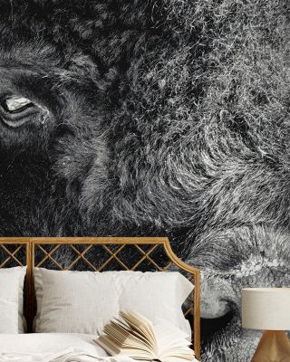Bison Stare BW Wallpaper