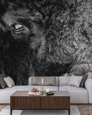 Bison Stare BW Wallpaper