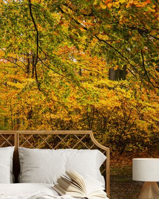 Falling Yellow Autumn Leaves Wallpaper for Cozy Homes