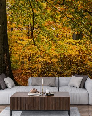 Falling Yellow Autumn Leaves Wallpaper for Cozy Homes