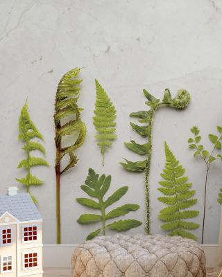 Flat Lay Ferns II Wallpaper for Natural Decor