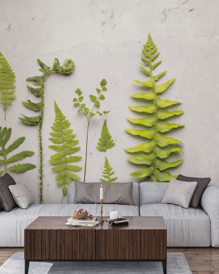 Flat Lay Ferns II Wallpaper for Natural Decor
