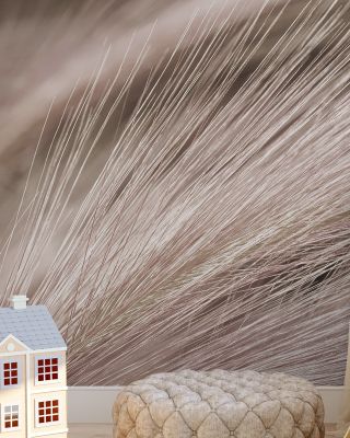 Foxtail Barley III Wallpaper for Natural Elegance