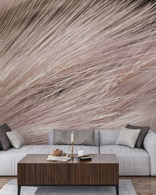 Foxtail Barley III Wallpaper for Natural Elegance