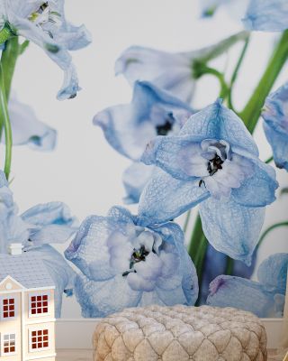 Freshly Picked Wallpaper for Vibrant Decor