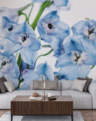 Freshly Picked Wallpaper for Vibrant Decor