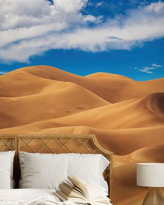 Great Sand Dune of Colorado Wallpaper for Natural Decor