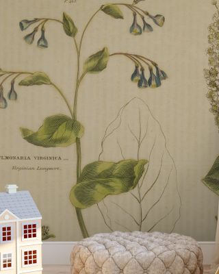 Herbal Botanical V Wallpaper for Natural Elegance