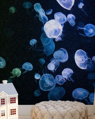 Jellyfish Disco Wallpaper for Playful Decor