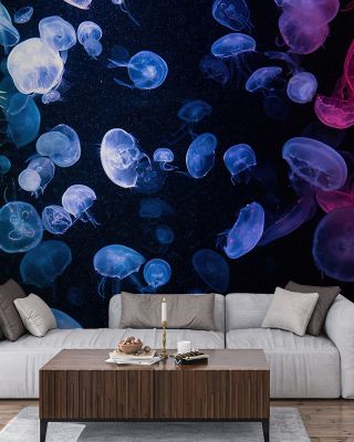 Jellyfish Disco Wallpaper for Playful Decor