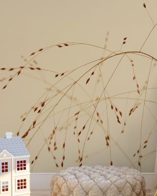 Lakeside Grasses Wallpaper for Nature Lovers