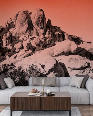 Ombre Adventure II