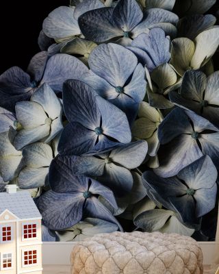 Pale Blue Hydrangea