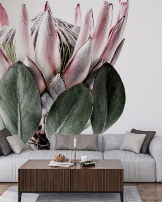 Pale Protea