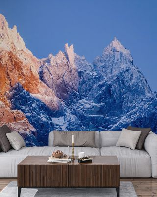 Peak Mont Blanc
