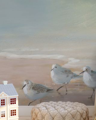 Shorebirds
