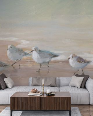 Shorebirds