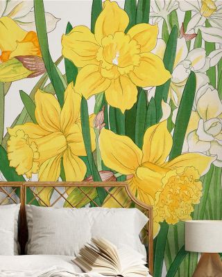 Tanigami Daffodil