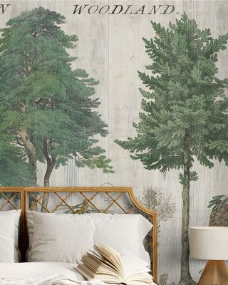 Woodland Chart I