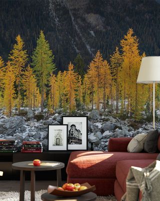 Alpine Larches Scenic Mountain Wallpaper