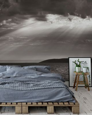 Portugal Cove Scenic Coastal Wallpaper