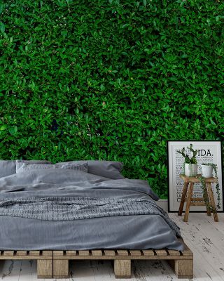 The Green Wall Vertical Garden Wallpaper